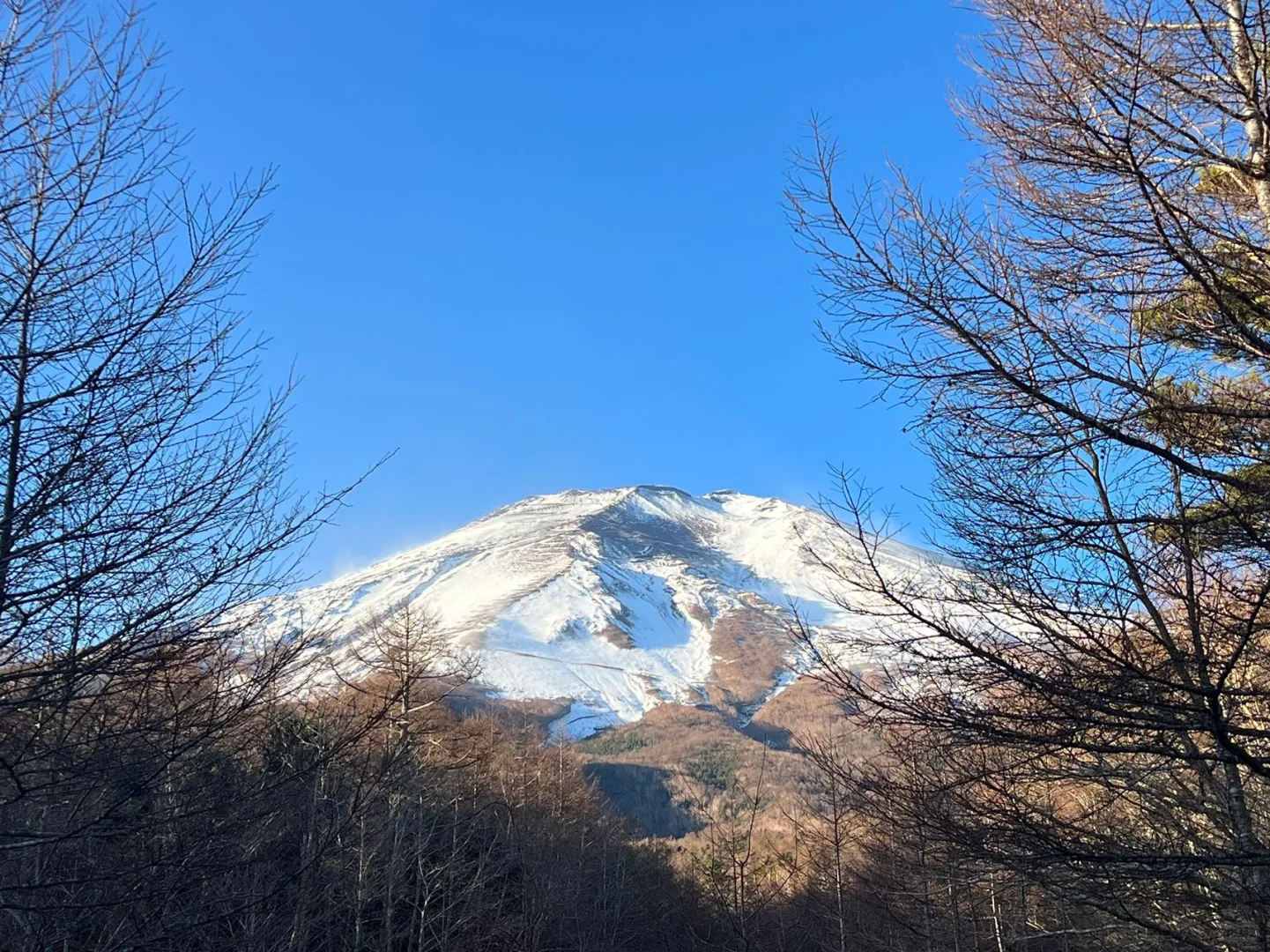成都买房结构？