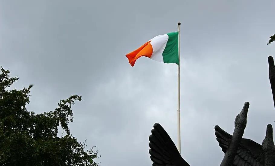 爱尔兰参议院的每位议员都同意对以色列实施制裁并支持国际武器禁运。 。(信息来源推