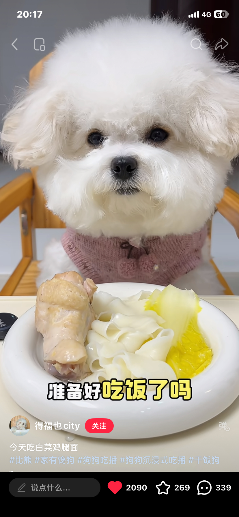 太可爱咯 能看一天🥹 