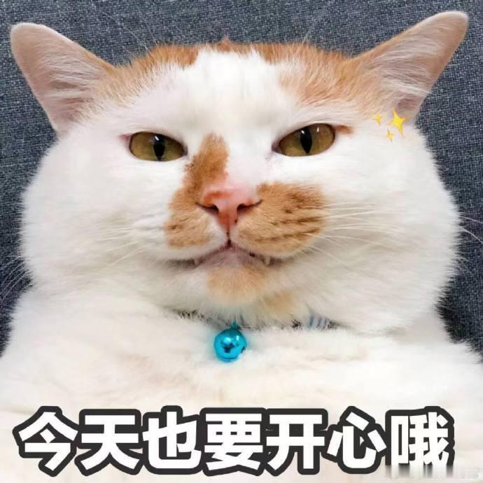 #大学十块钱的饭和十块钱的水果# 思绪瞬间拉回到了上大学的时候，倘若有一台时光机