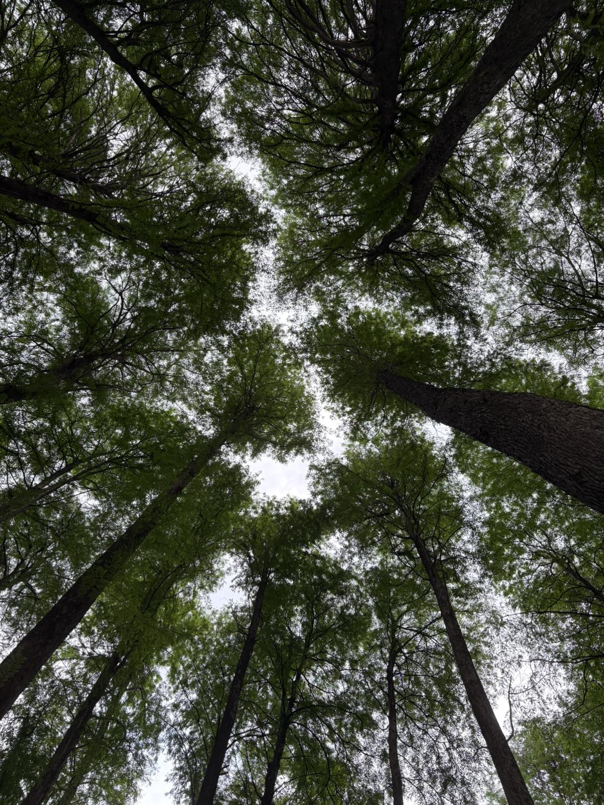 我的今日状态：😁轻松愉快
我这里的天气：☀️晴天