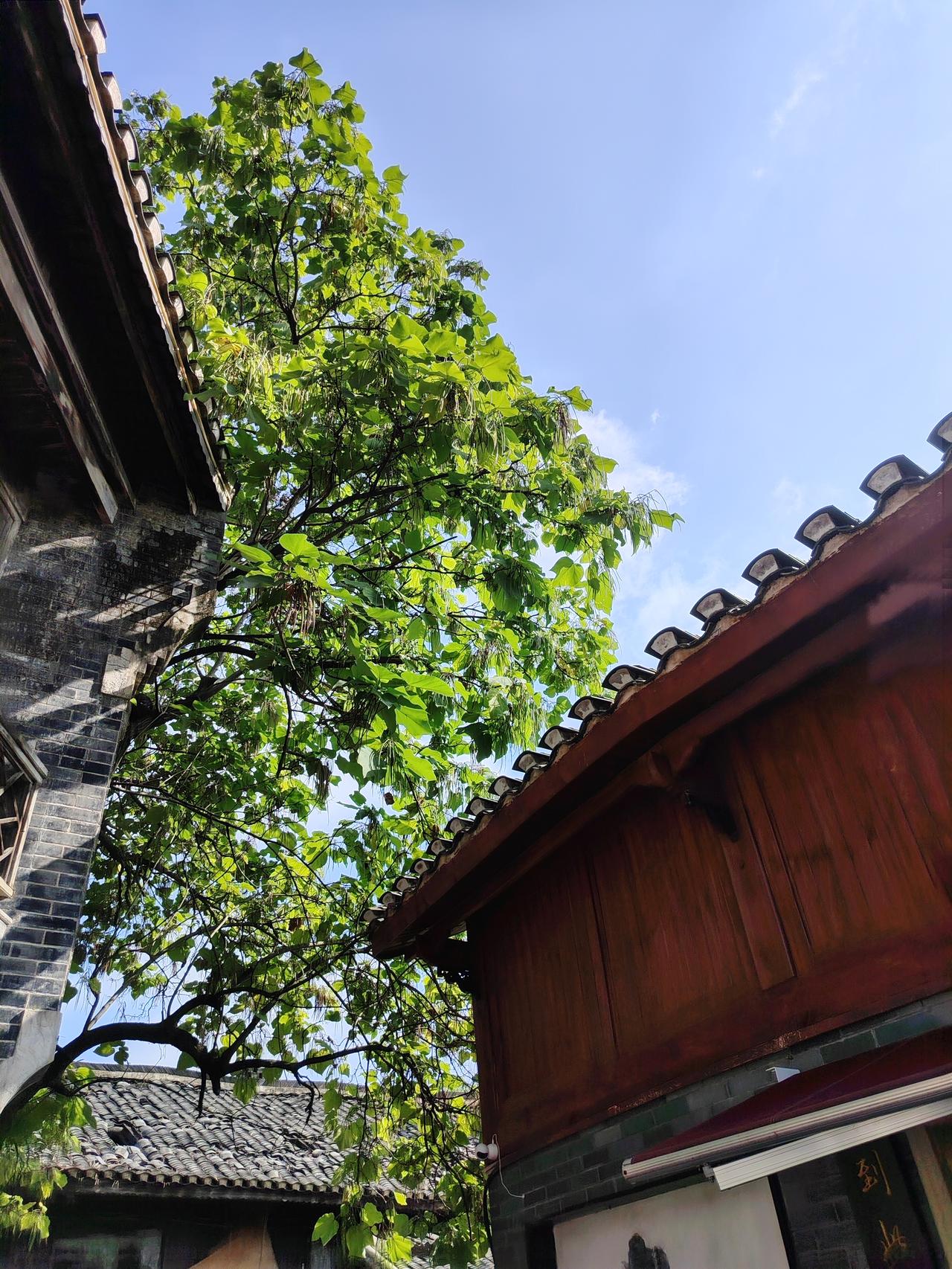 守心致远，焕古启新
 
中华文脉绵延千载，阳明心学昭示本心力量。心即理也，善念根