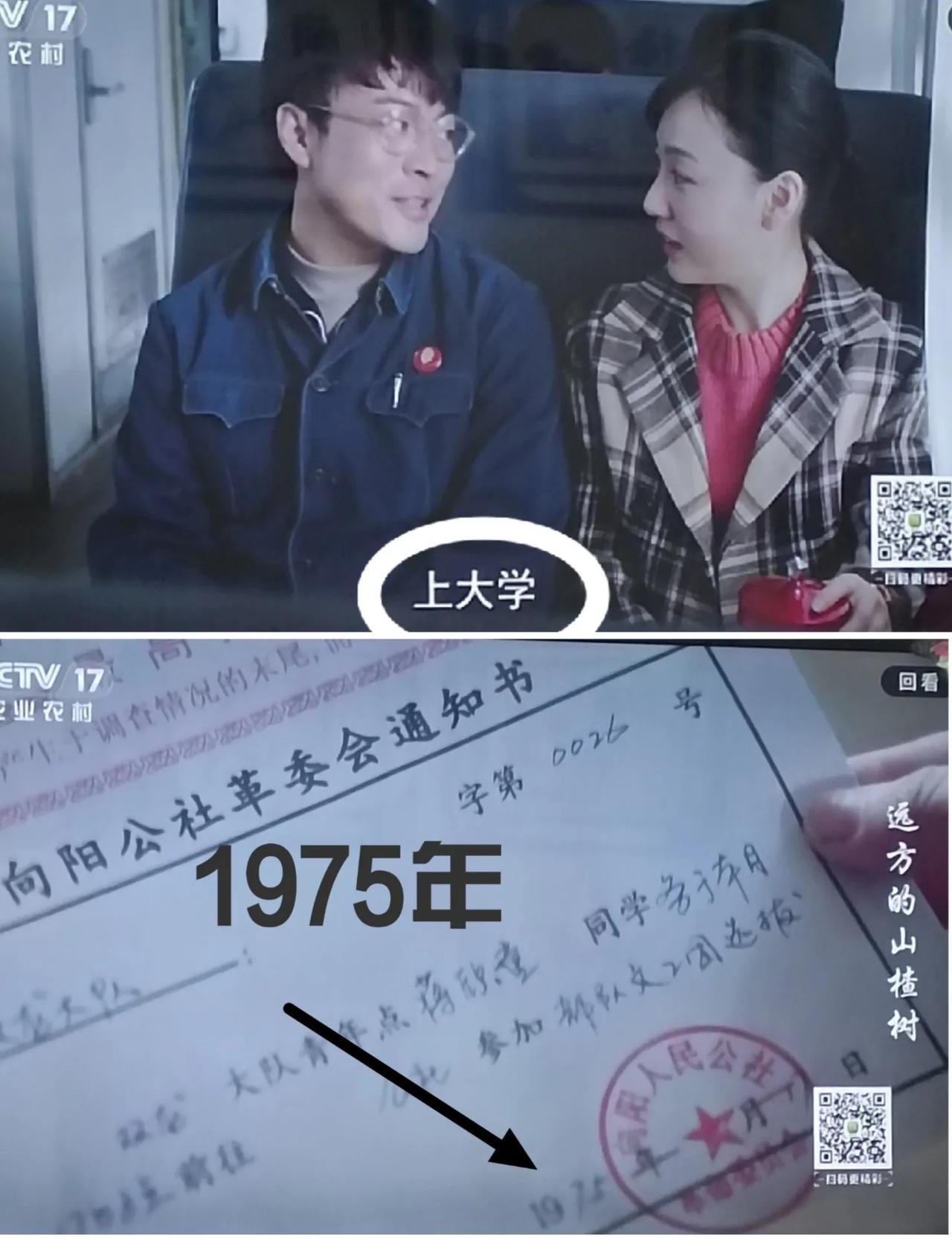 《遠方的山楂樹》:1975年，上大學？？？