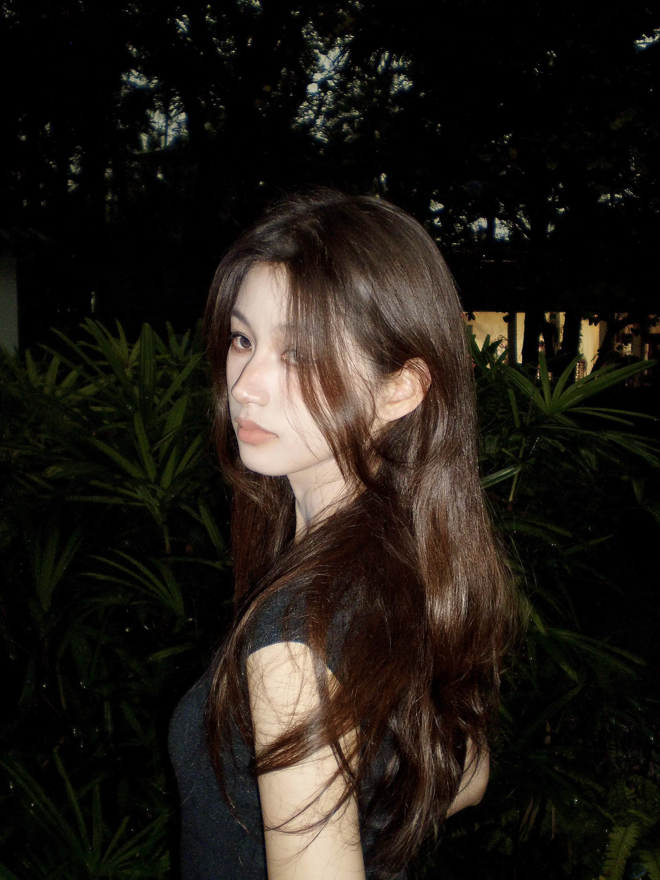 杏花开在无人院。