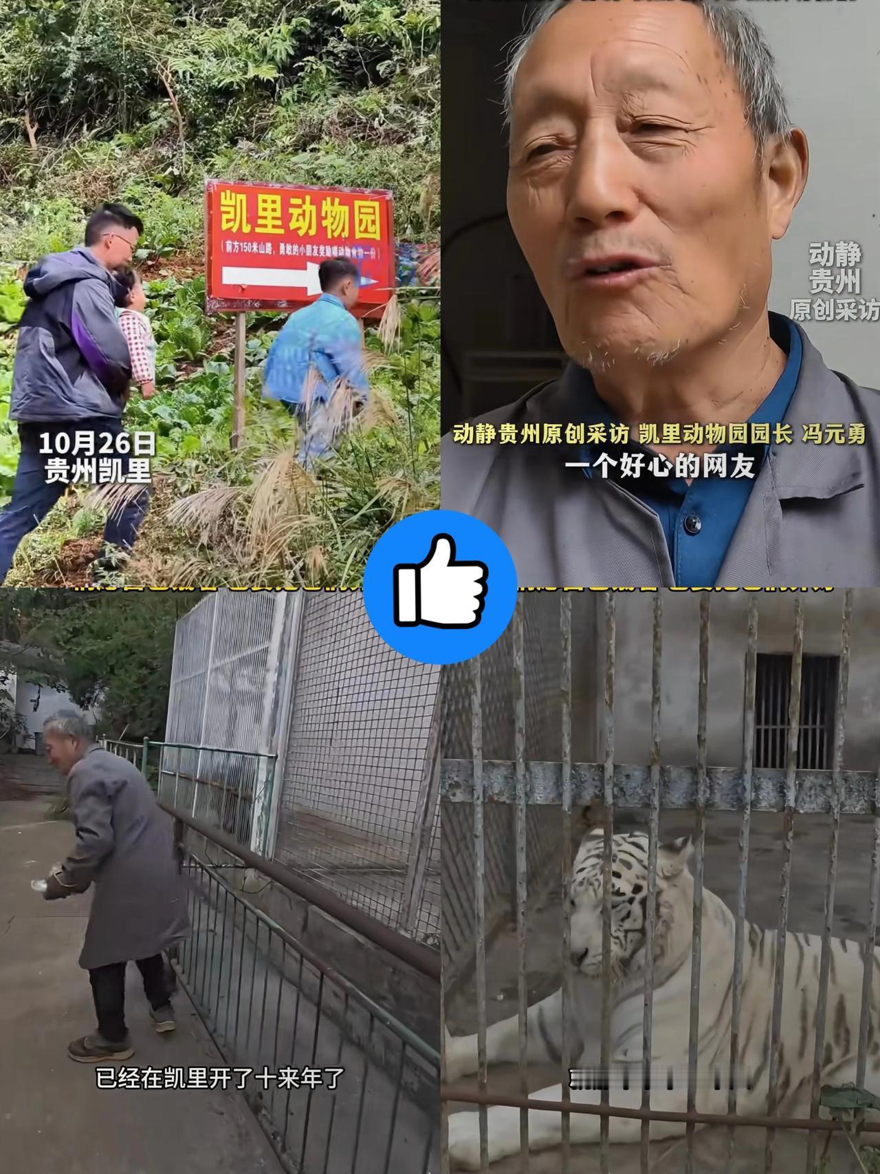 别再给这家动物园打钱了！
园长都急了，
20元门票就可以看各种野生动物你们听说过