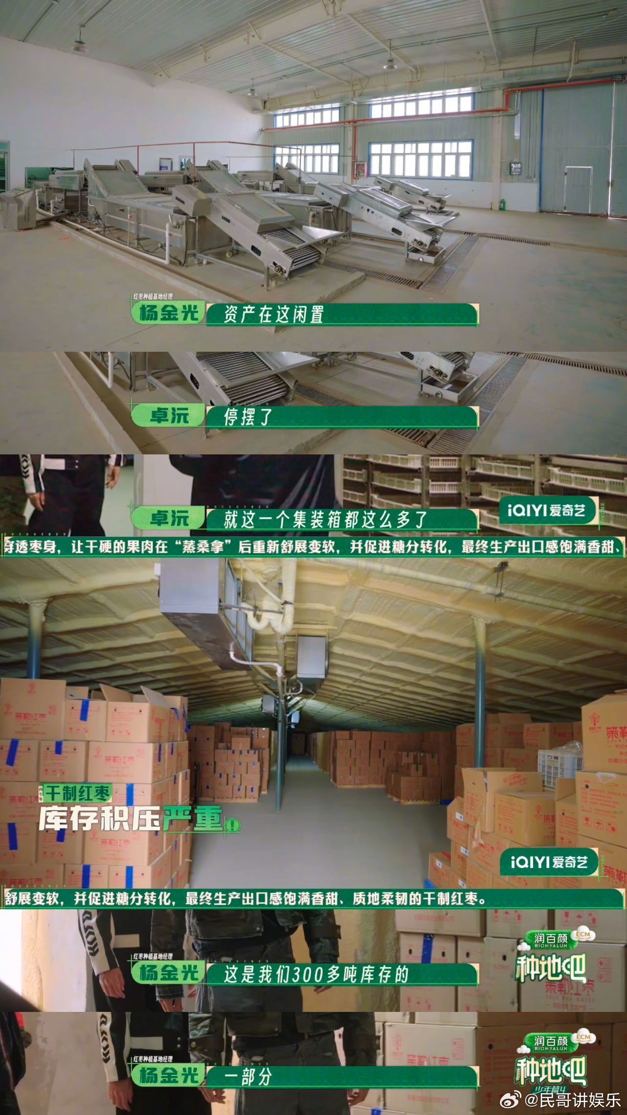 种地吧专挑苦地方去种地吧策勒是新疆数一数二苦地界，十个勤天种玫瑰枣树装光伏，脚踏