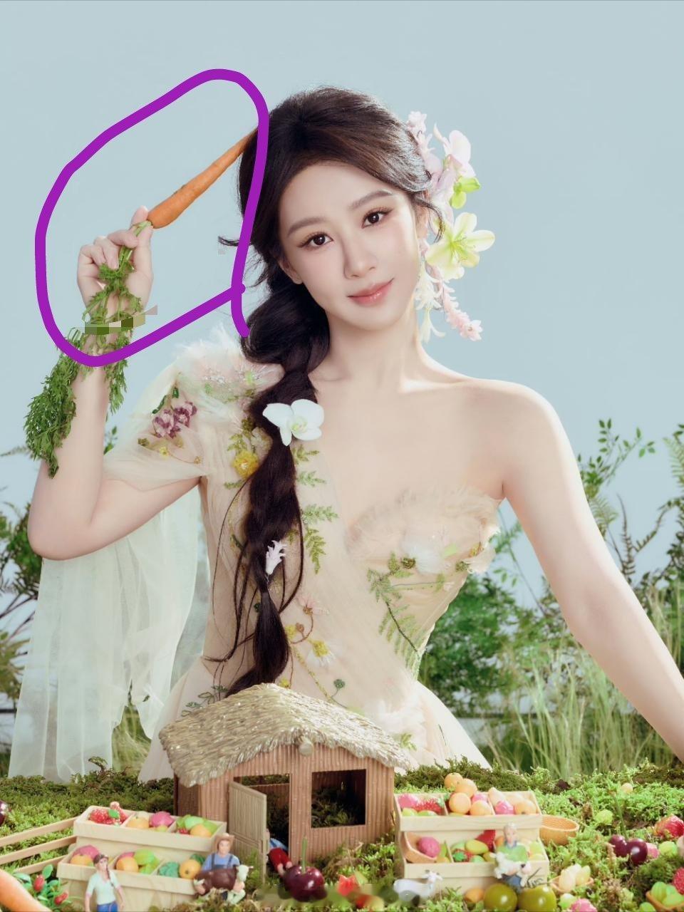 其实紫紫早已预告了今天的萝卜