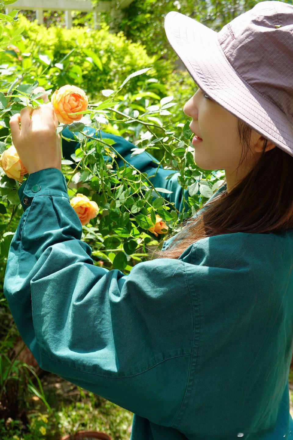 阳光正好，欢迎来到云霄的春日花圃～☀️李云霄花神🌼🌺🪴 