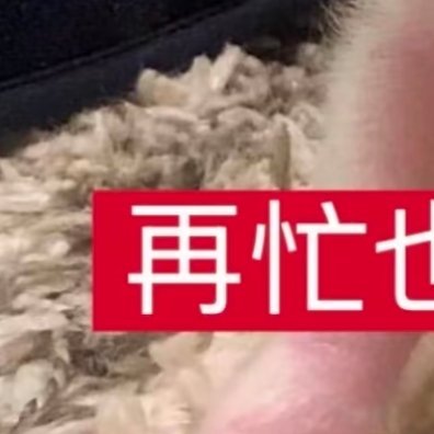 [兔子]人无信不立，良好阳光信用藏在生活点滴之中。守住许下的约定，按时履约、真诚
