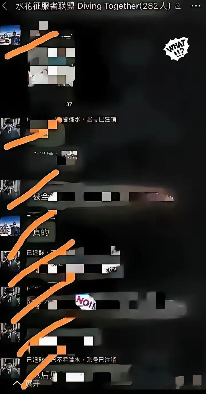 太疯狂了！不管管不行了！一场精心准备的圈层倾轧，在全红婵报警后作鸟兽散！据悉28