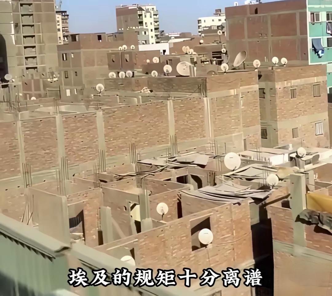 埃及满大街“烂尾楼”？真相让人哭笑不得

去埃及旅游的人，都会发现一个奇观。
