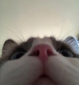 明天下午2:00🍑 12月上身播 ​​​