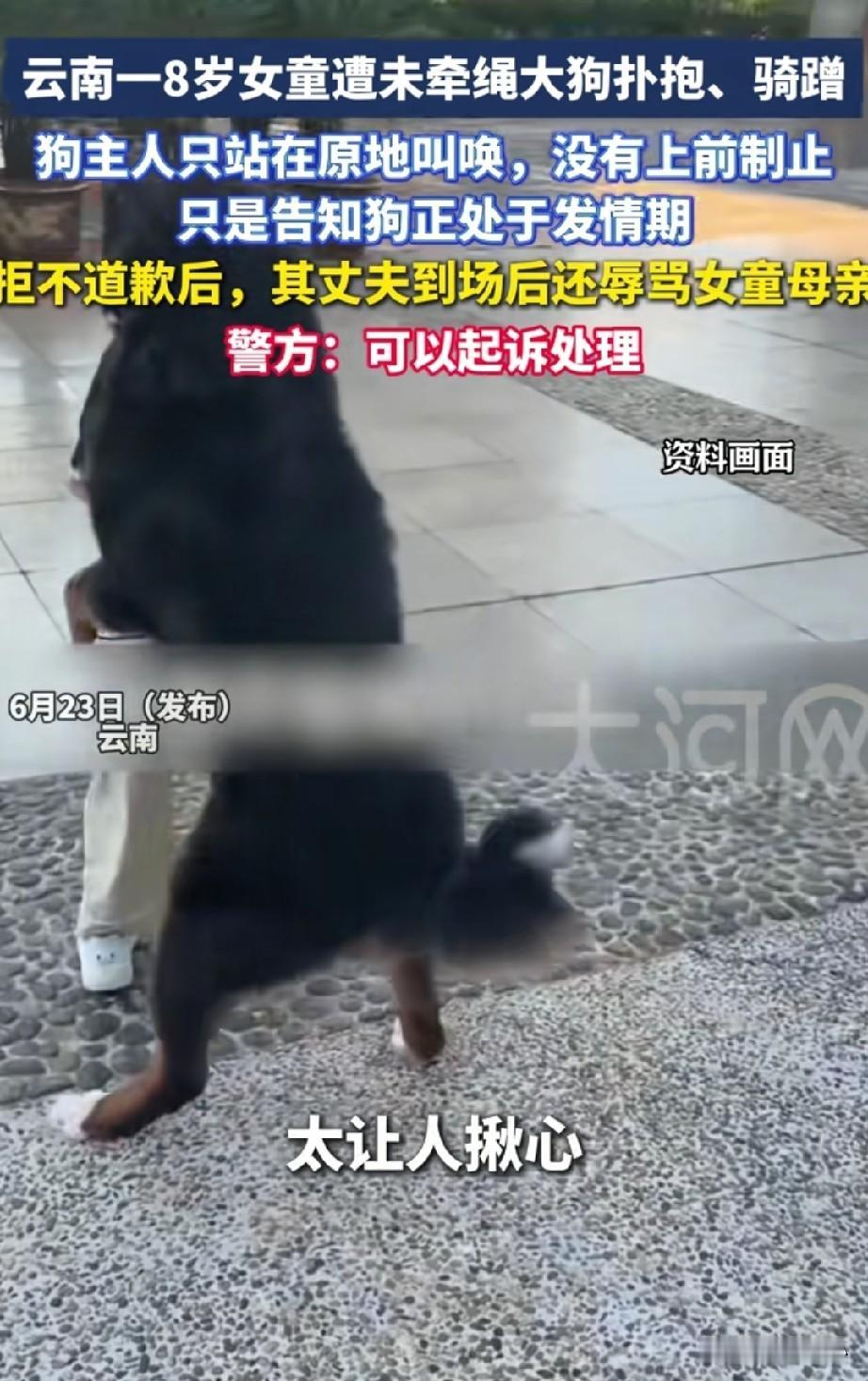 太气愤了！
云南，一只没拴绳的大狗猛扑向8岁女童，把孩子吓得哇哇大哭，狗主人却站