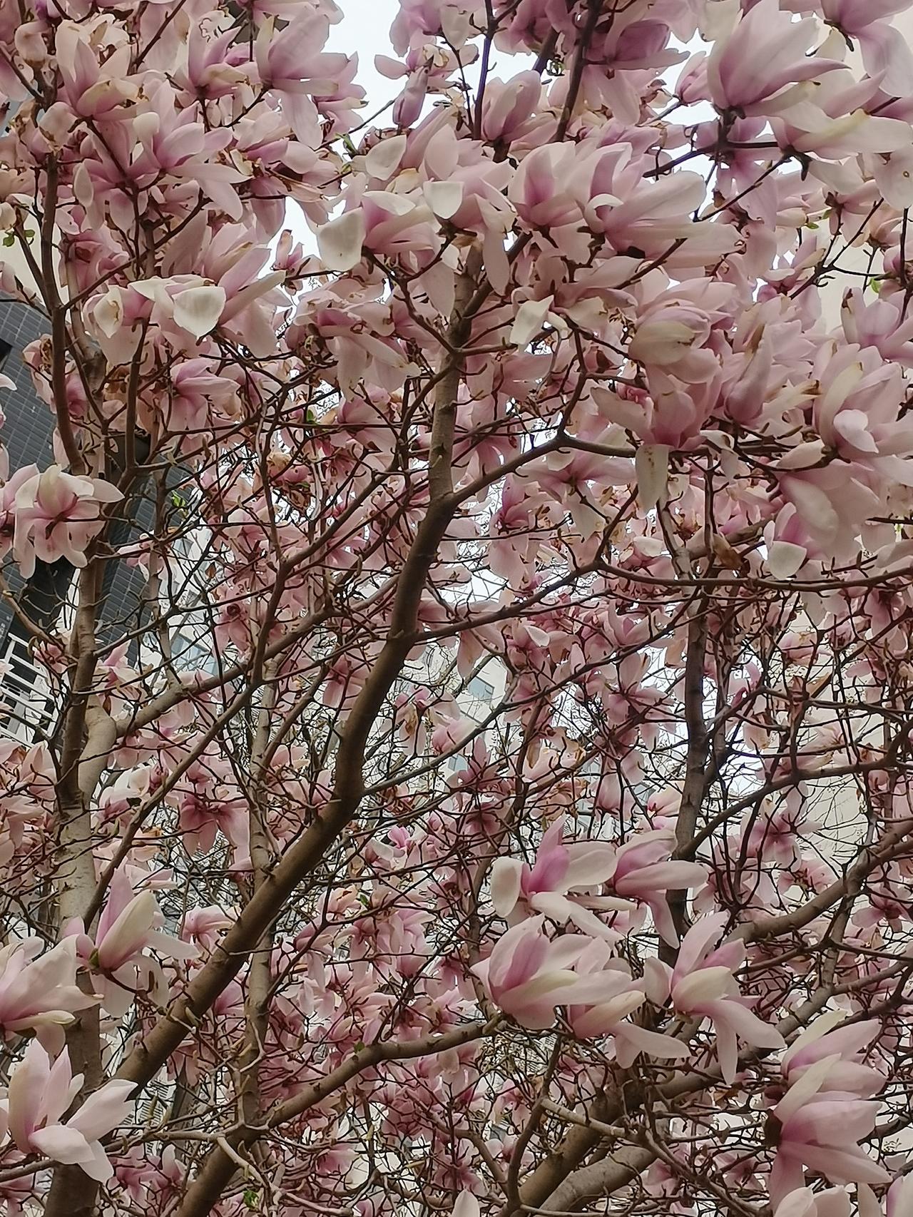 进不进头条创作训练营，效果还真的是不一样！

没有进头条创作训练营之前，只是跟着