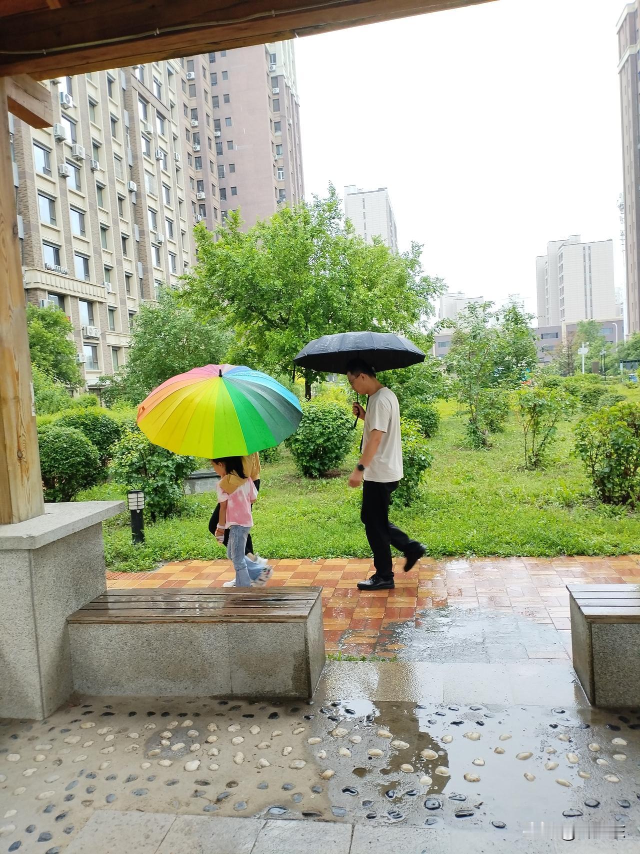 雨景
细雨初滋草木新，
伞擎花影护温淳。
遥思儿女亭中坐，
请续句……
（浅沼蛙