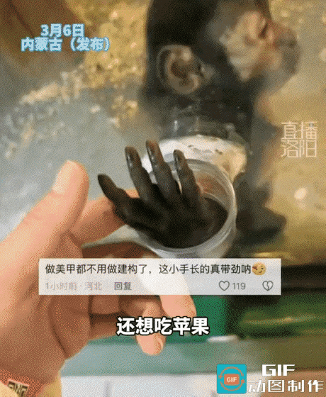解释不清了，内蒙古，一女子去动物园看猴，发现一只单独关着的小猴子很可爱，就上前与