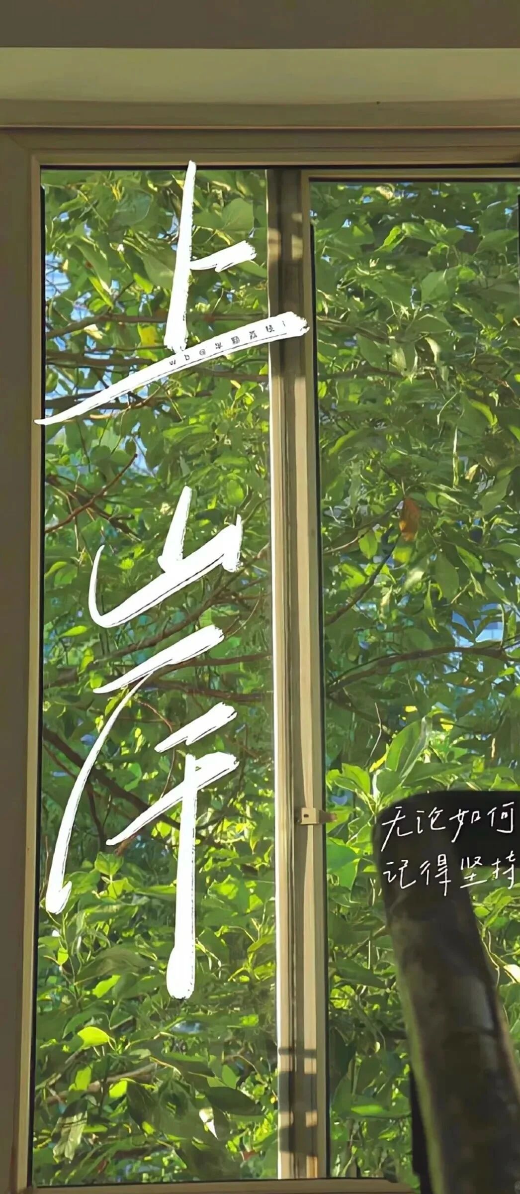 𝐒𝐡𝐚𝐫𝐞｜绿色系4k高清全屏壁纸 ​​​