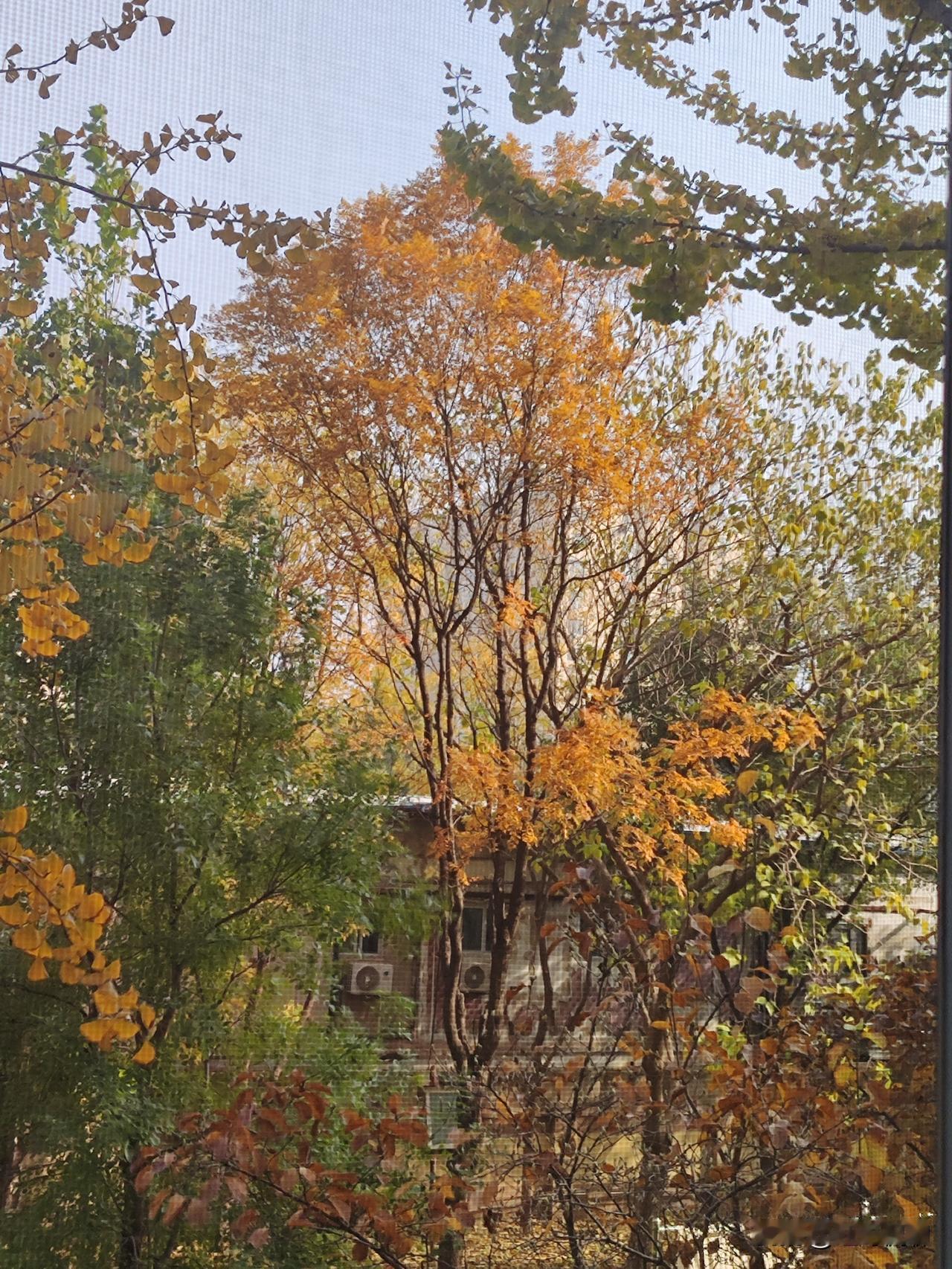 人家郑丽文比他格局大多了，他就自己得意自己哪点学历。