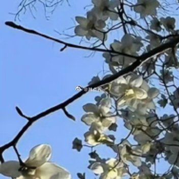 每日一善 每日一善 阳光信用 只把一件事做好，就是生活本初的节奏，再忙再累的日子