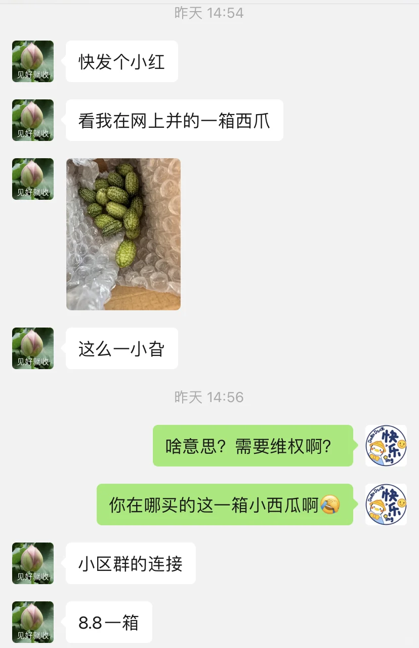 大家快看！我爸8块网购的一箱西瓜！！哈哈哈哈