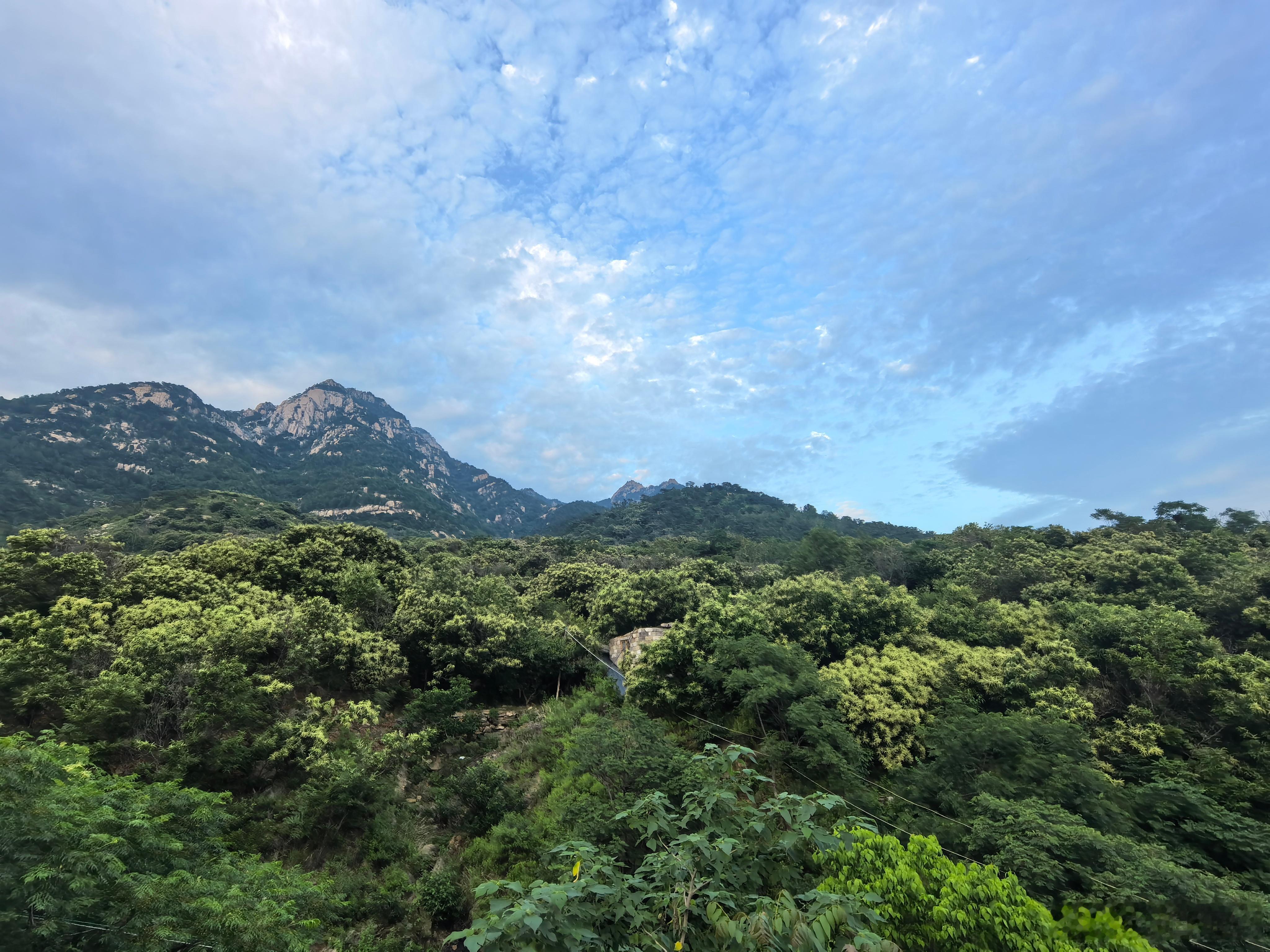 回泰山小院看看，和师兄聊会天 泰安·泰山风景名胜区