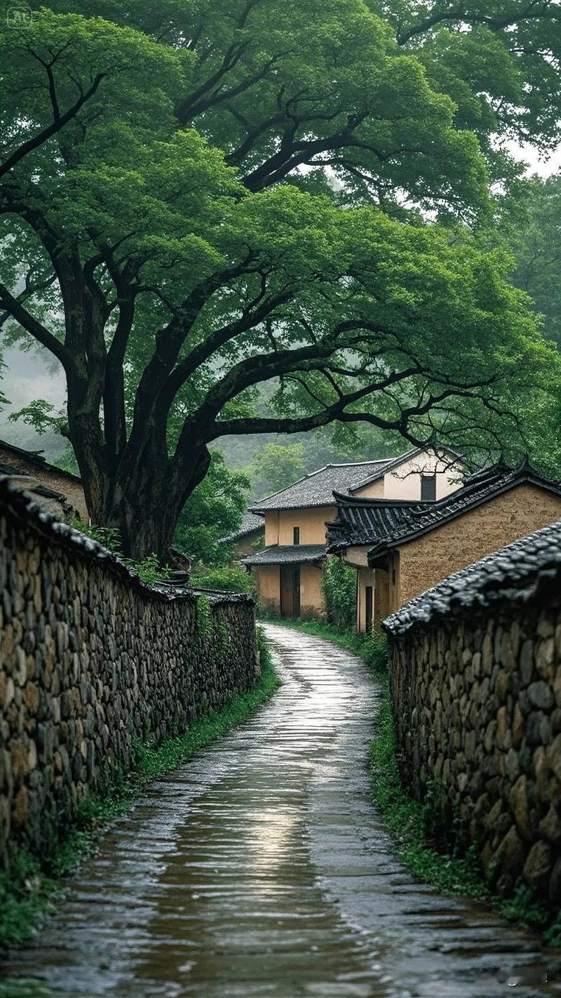 一座古寺里老师父曾说：“人来到这个世上，是身不由己地来；人离开这个世上，是无可奈