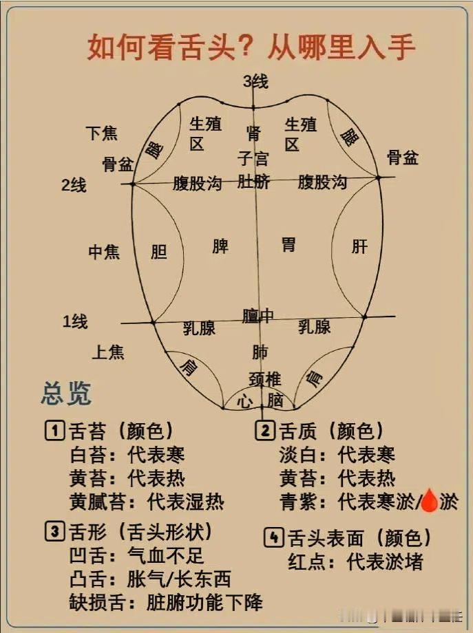 对镜自查，3分钟学会看舌头，让你知道身体健康问题！
