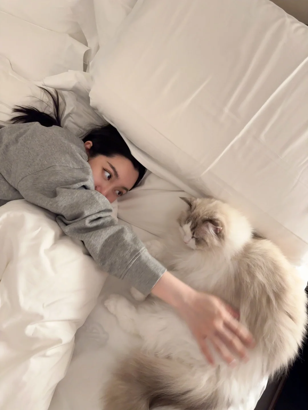 老婆和猫猫们🐱