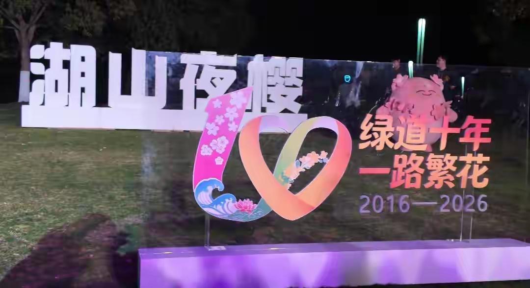 湖山夜樱，绿道十年，一路繁花，2016-2026[比心][玫瑰]