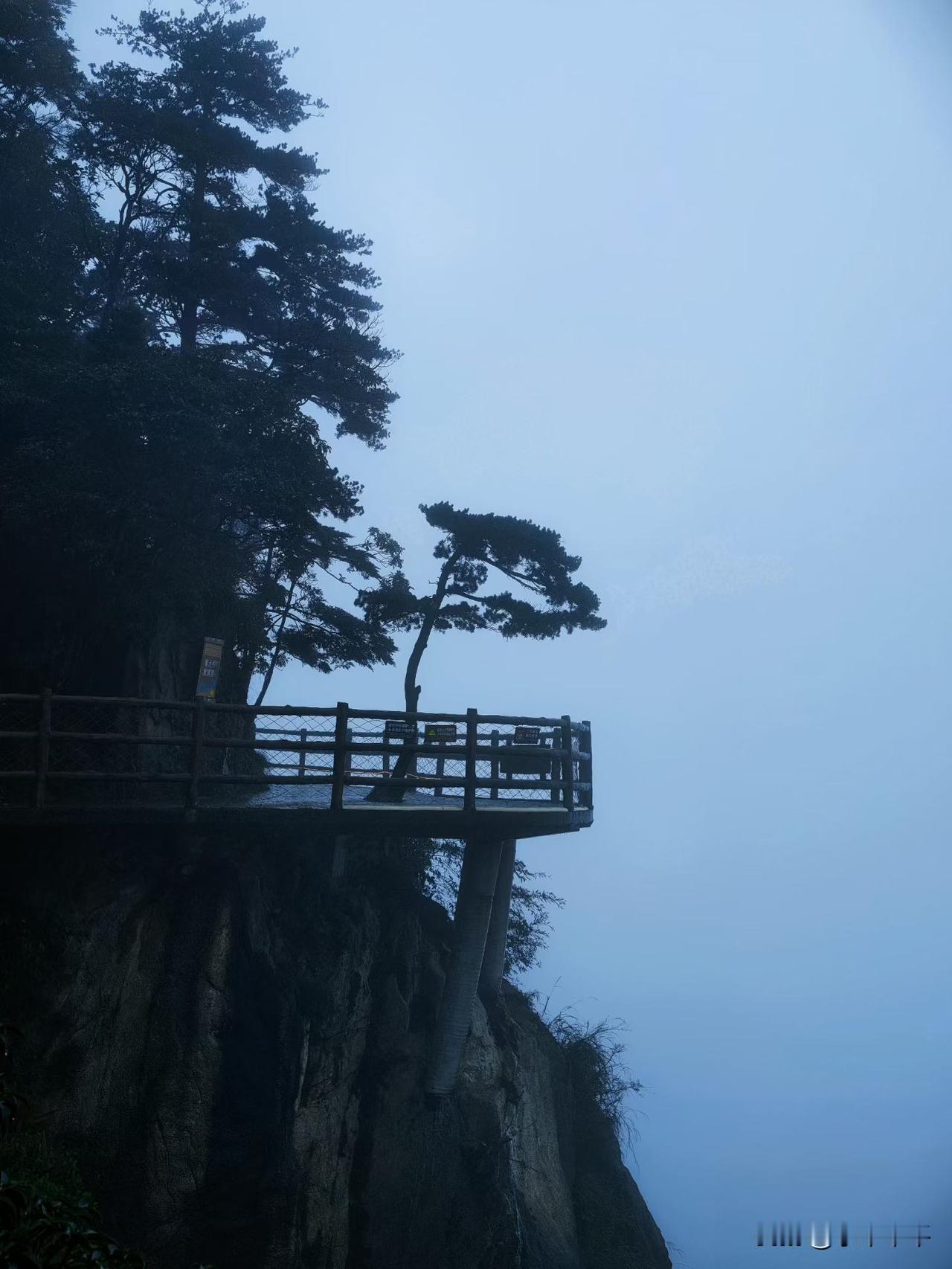 既然英语是工具，那就应该按工具来学按工具来教按工具来考。
汤先生呼吁取消英语主课