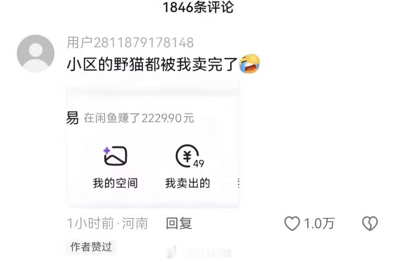 你才是真正的爱猫人士 