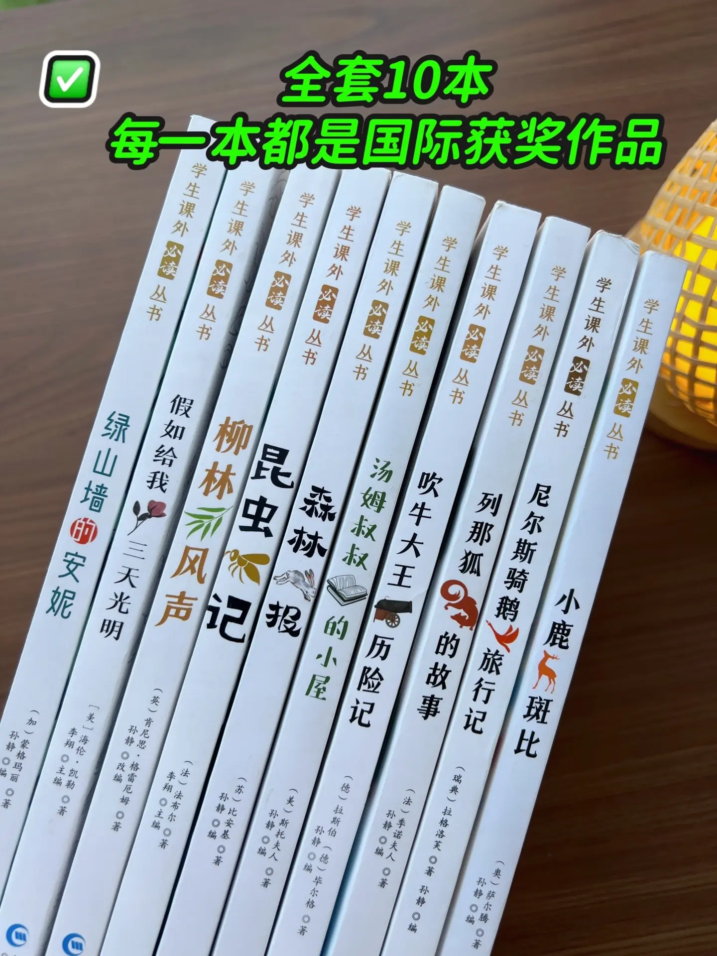 这套全10本《国际获奖儿童小说》太值了，没有一本凑数的！紧跟新课标，是...