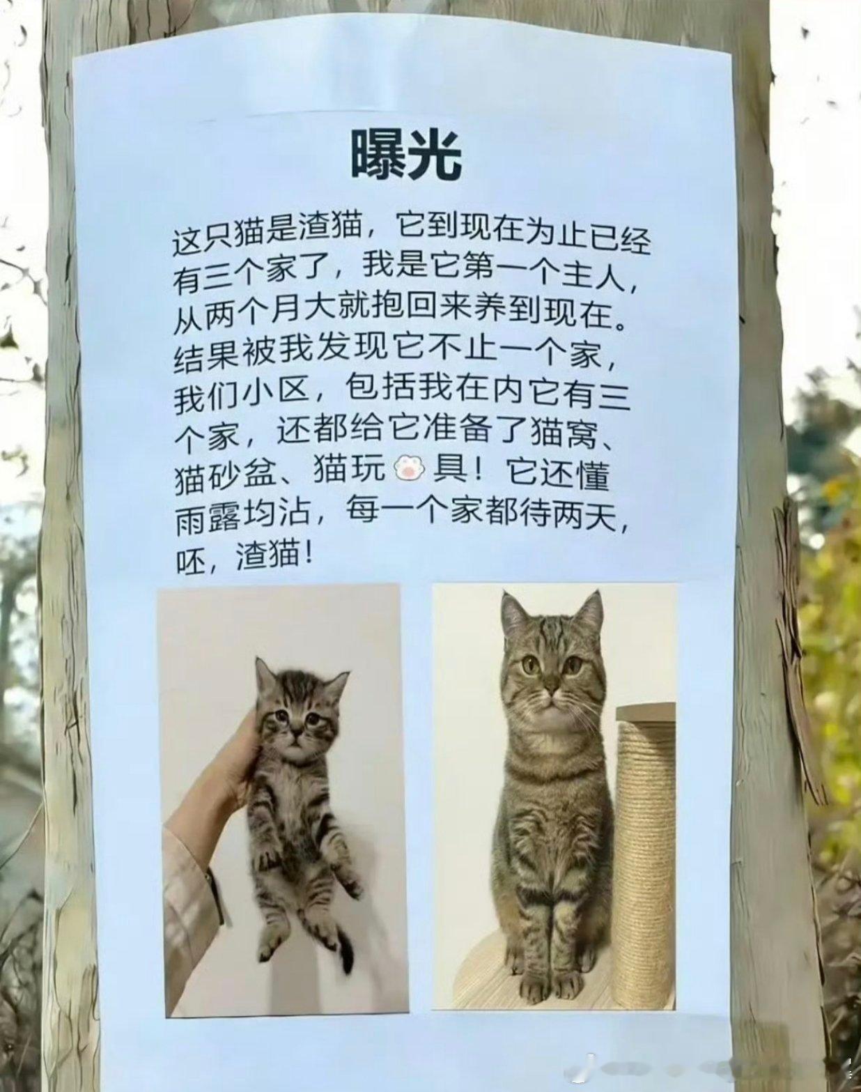 时间管理大师 ​​​