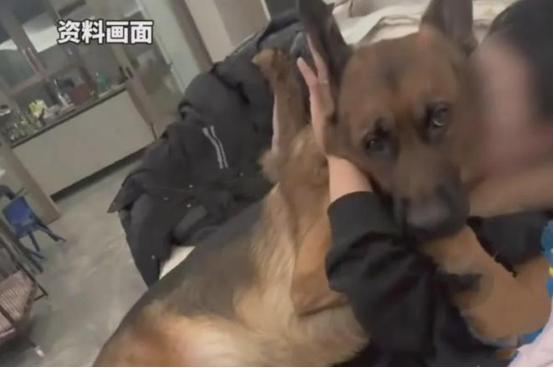 解释不清了！被80斤德牧踩断两根肋骨，她却说：这是我这辈子最幸运的事。
 
北京