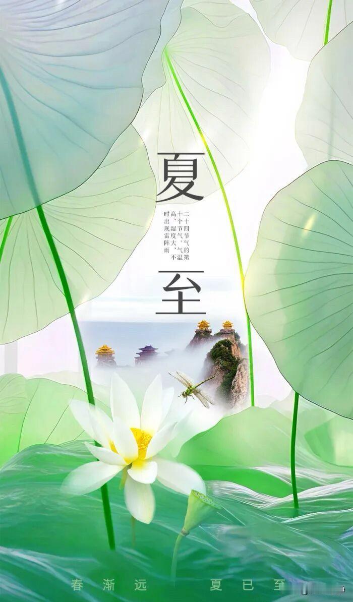 🌼²⁰²⁶/₀₆.₂₁ ᵕ̈ᵕ̈ 夏至｜清凉☀️🍃🍎🐎
蝉始鸣，半夏生，