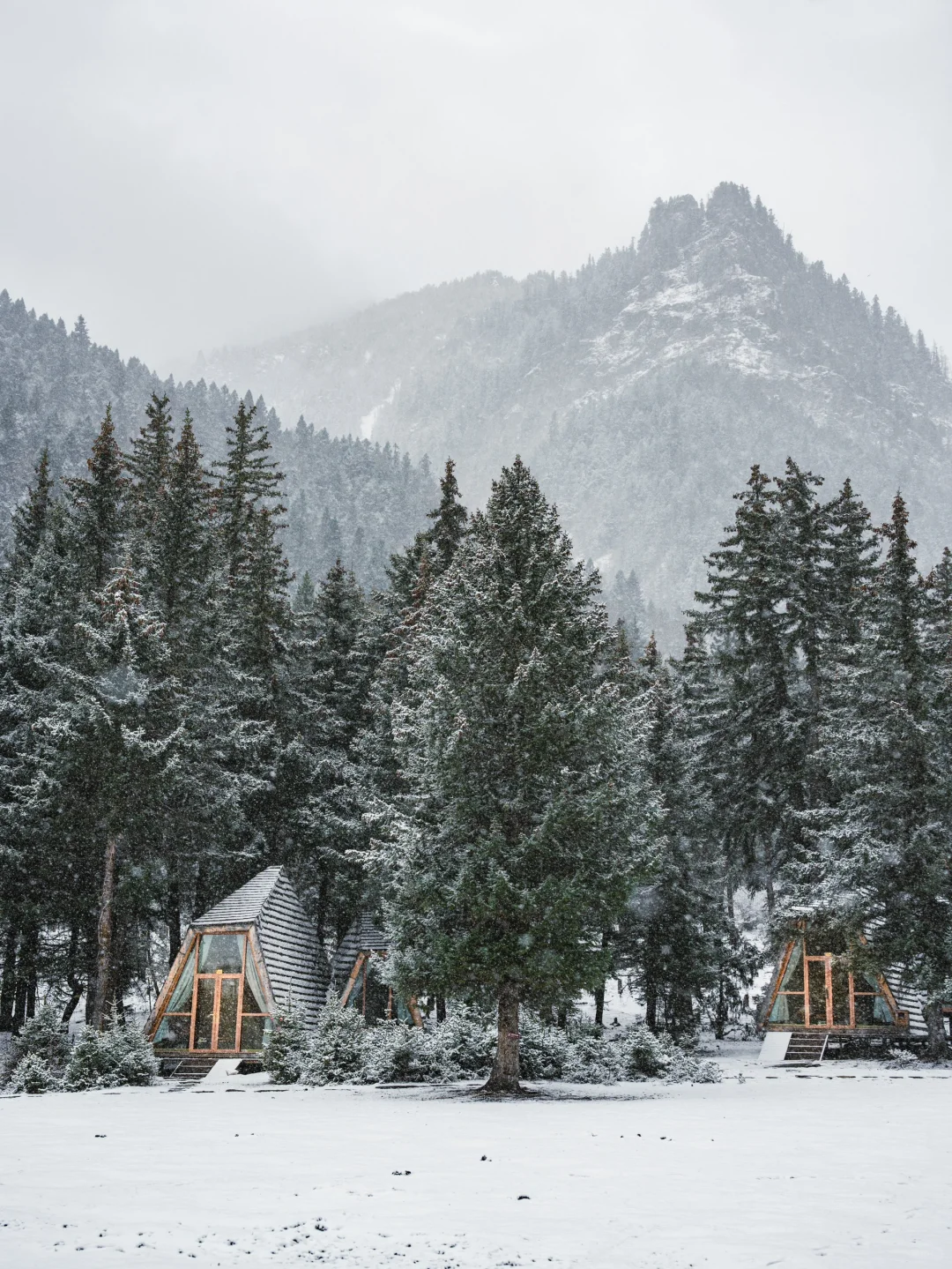 反向游㊙️成都3h雪山秘境现实版梦中童话世界