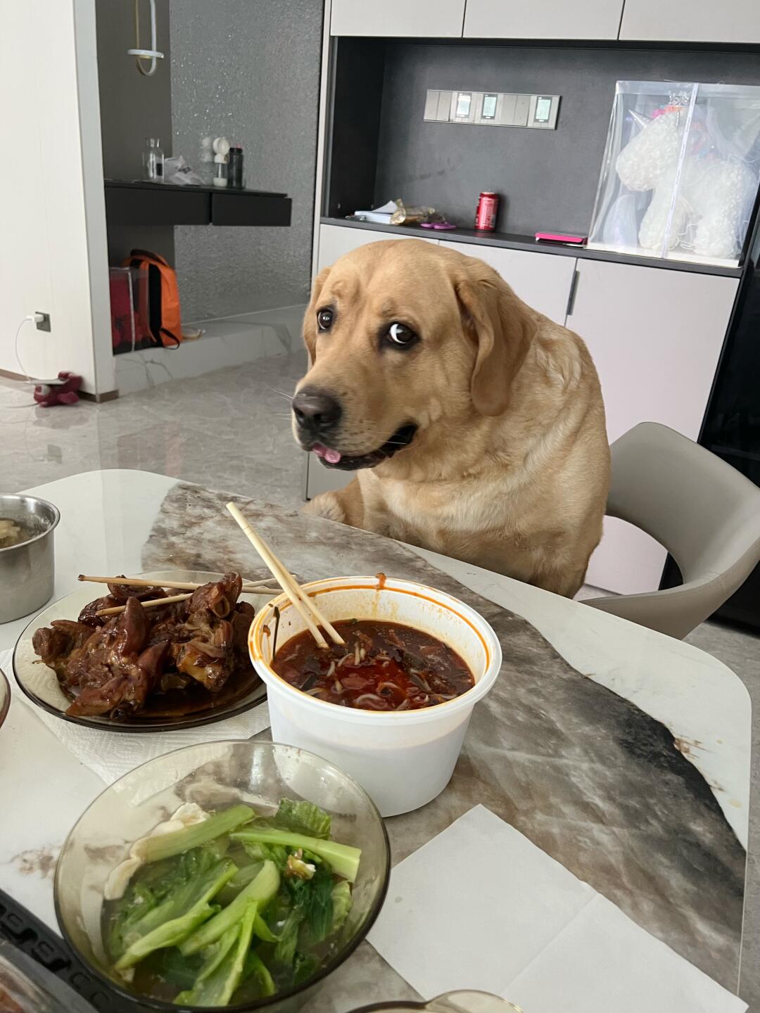 别骂了，下顿做你爱吃的，凑合吃一口