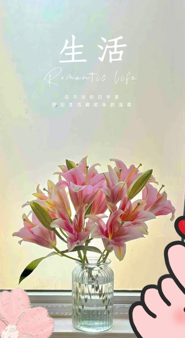 家里洗手间的百合花 