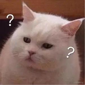 我一点也不爱吃鲜肉月饼，鲜肉月饼到底是谁在吃？ ​​​