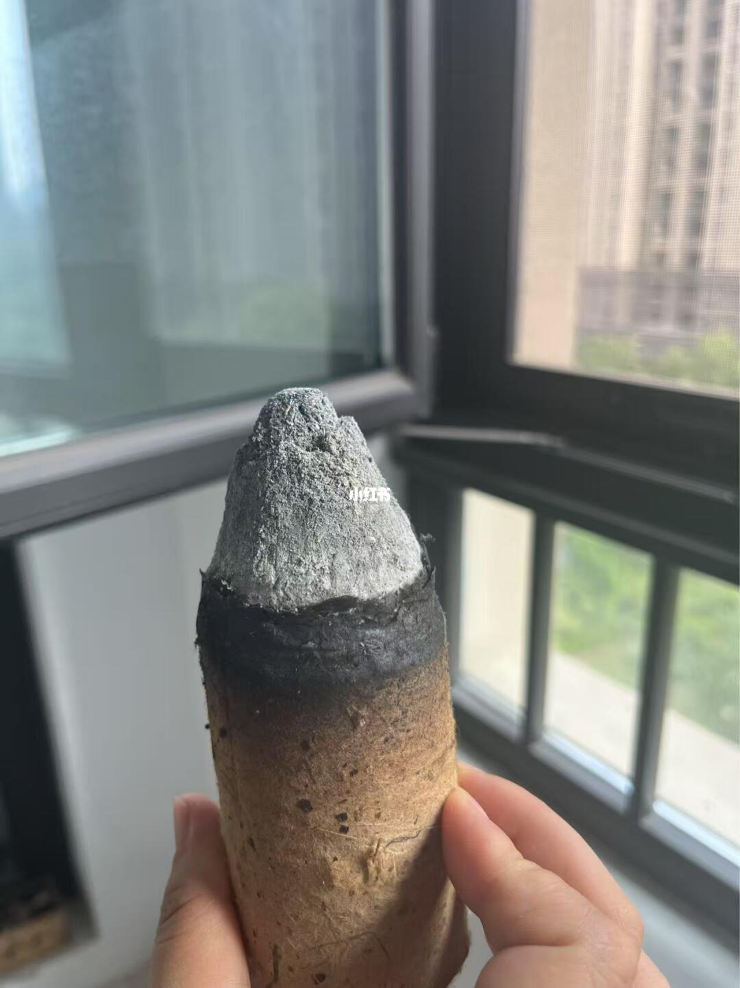 夏天是提升体温的好时候