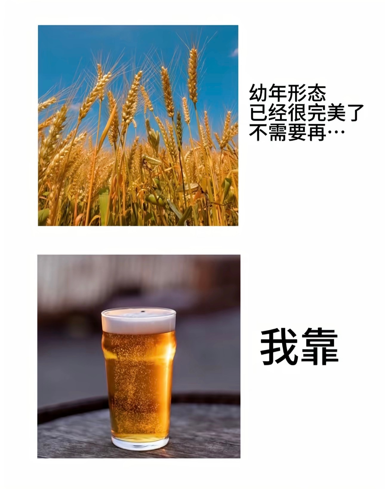 夯爆了 