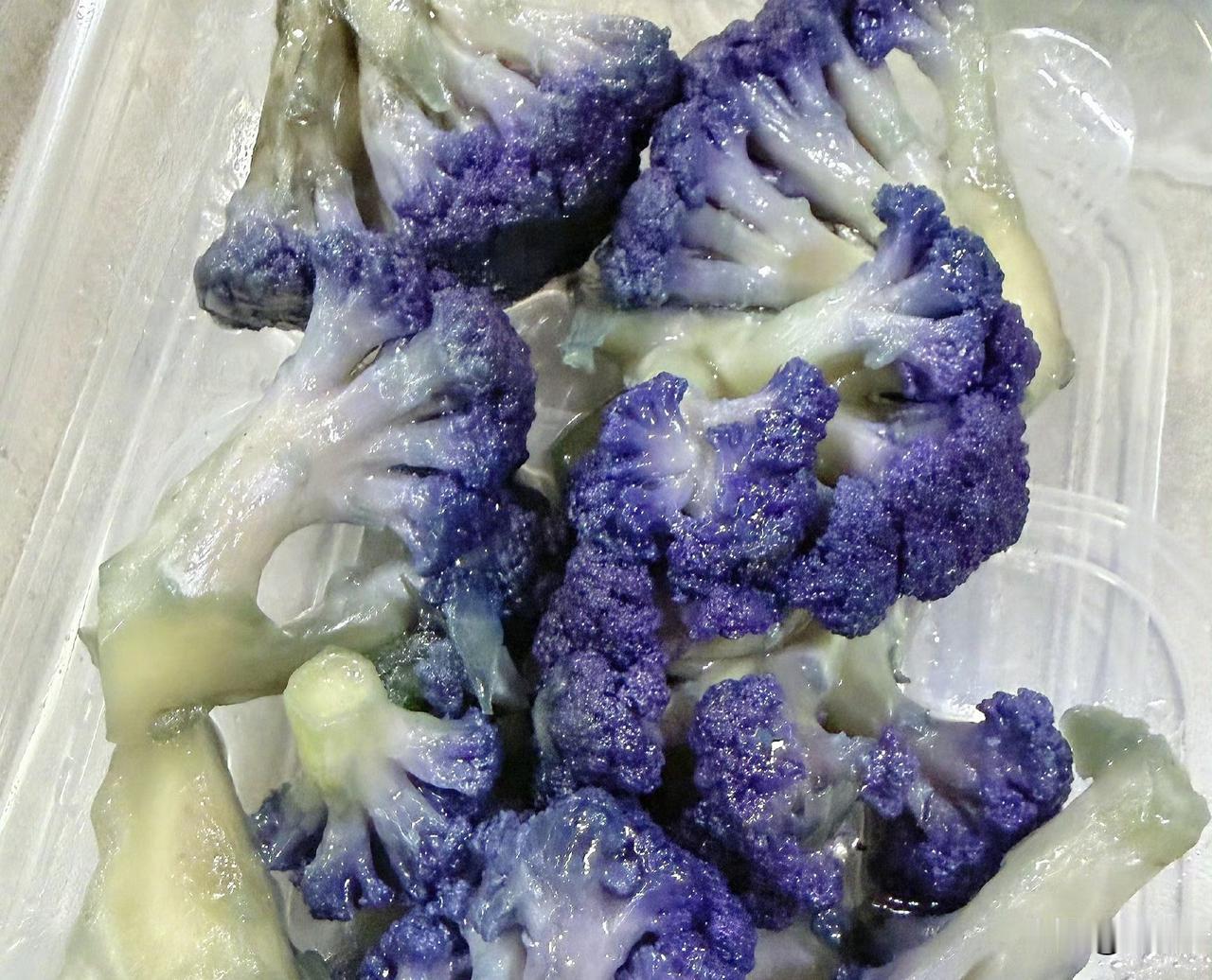 关晓彤吃紫色西兰花


关晓彤吃的紫色西兰花，很多地方都没有卖的。西兰花都是绿色