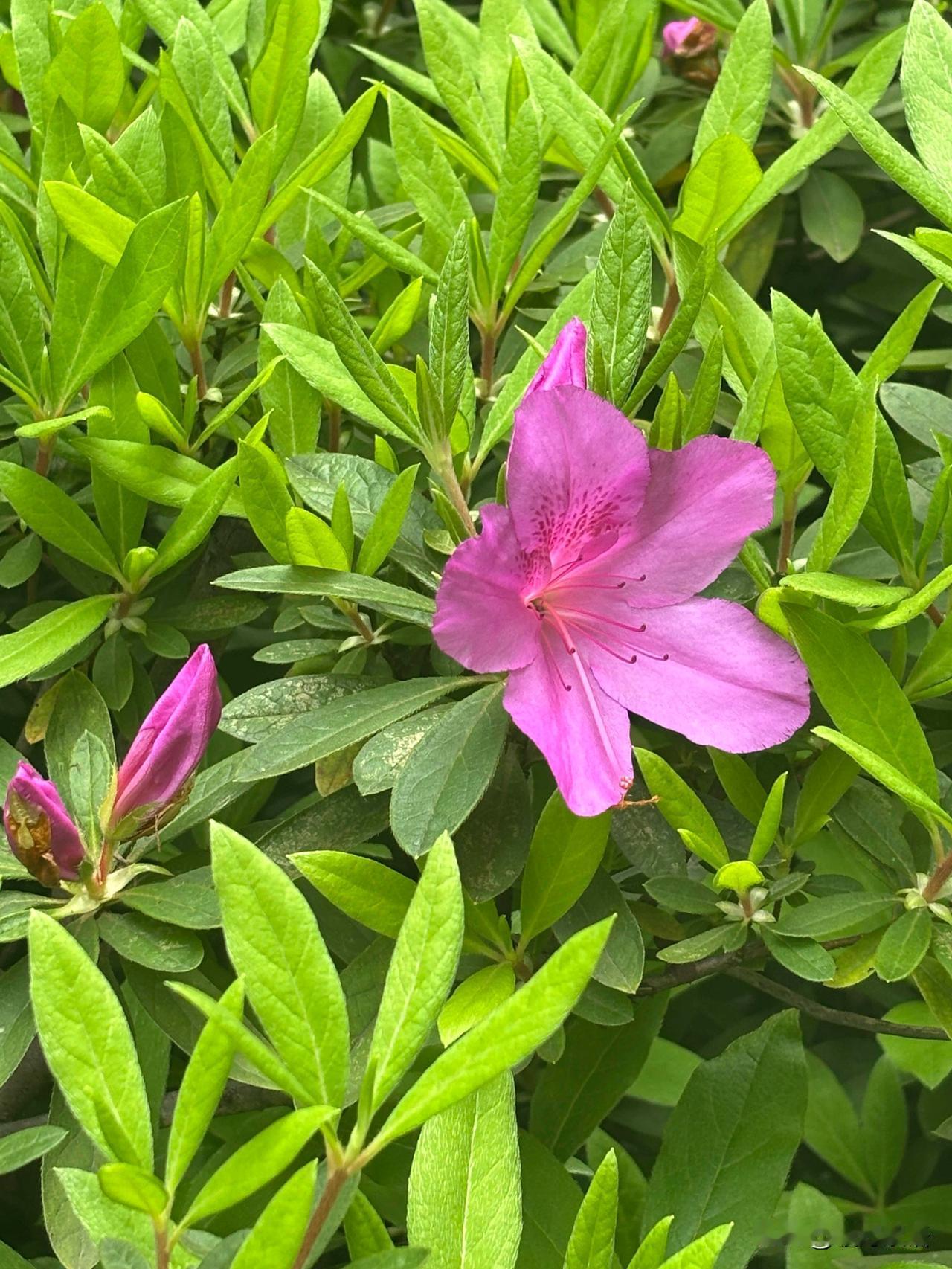 人这辈子最累的活法，不是太忙，而是闲下来还得装忙。

同事哥哥去年被公司裁员，拿