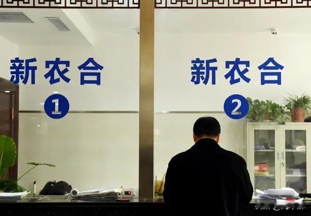 为何不交医保的人数逐年递增？
答案是：风险。
自2003年“新农合”设立，每人缴