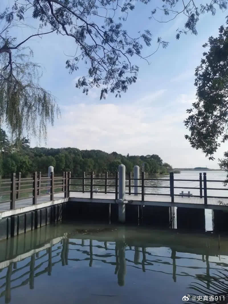 有一次，韦唯独自驾车出门，经过崎岖的山道时，突然刹车失灵，韦唯差点命丧山谷。修理