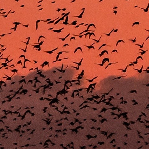 生活手记 放轻松就当漫游地球 