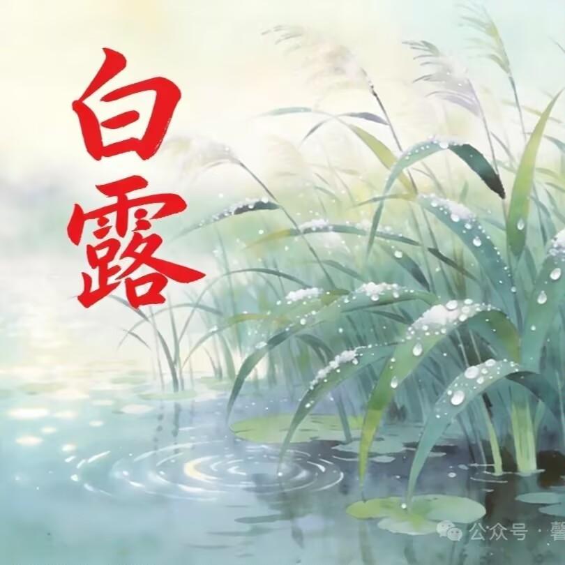晨起的枝叶

浸着那枚晶莹剔透的水珠

那是秋天走向渐深的礼赞

亦是白露时节最