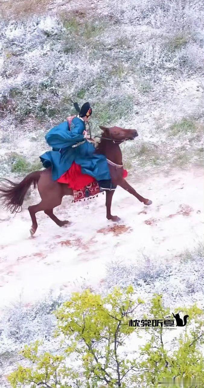 丁禹兮的马受惊失控dyx丁禹兮赵凌﻿ 不是要你保证以后100%绝对安全，但面对各