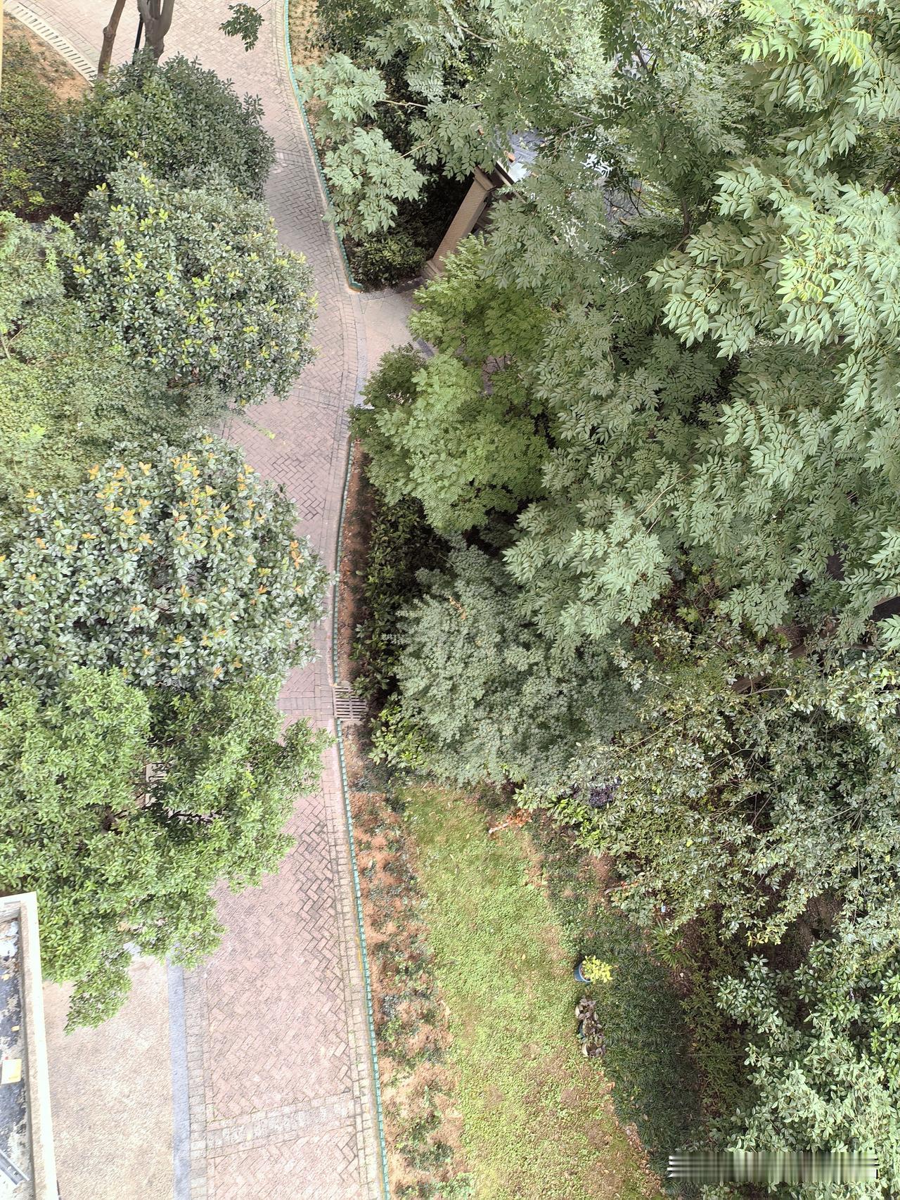 6月17日十堰多云转阴，白天飘分散阵雨，夜里转小到中阵雨，南部局部有大雨；偏东风