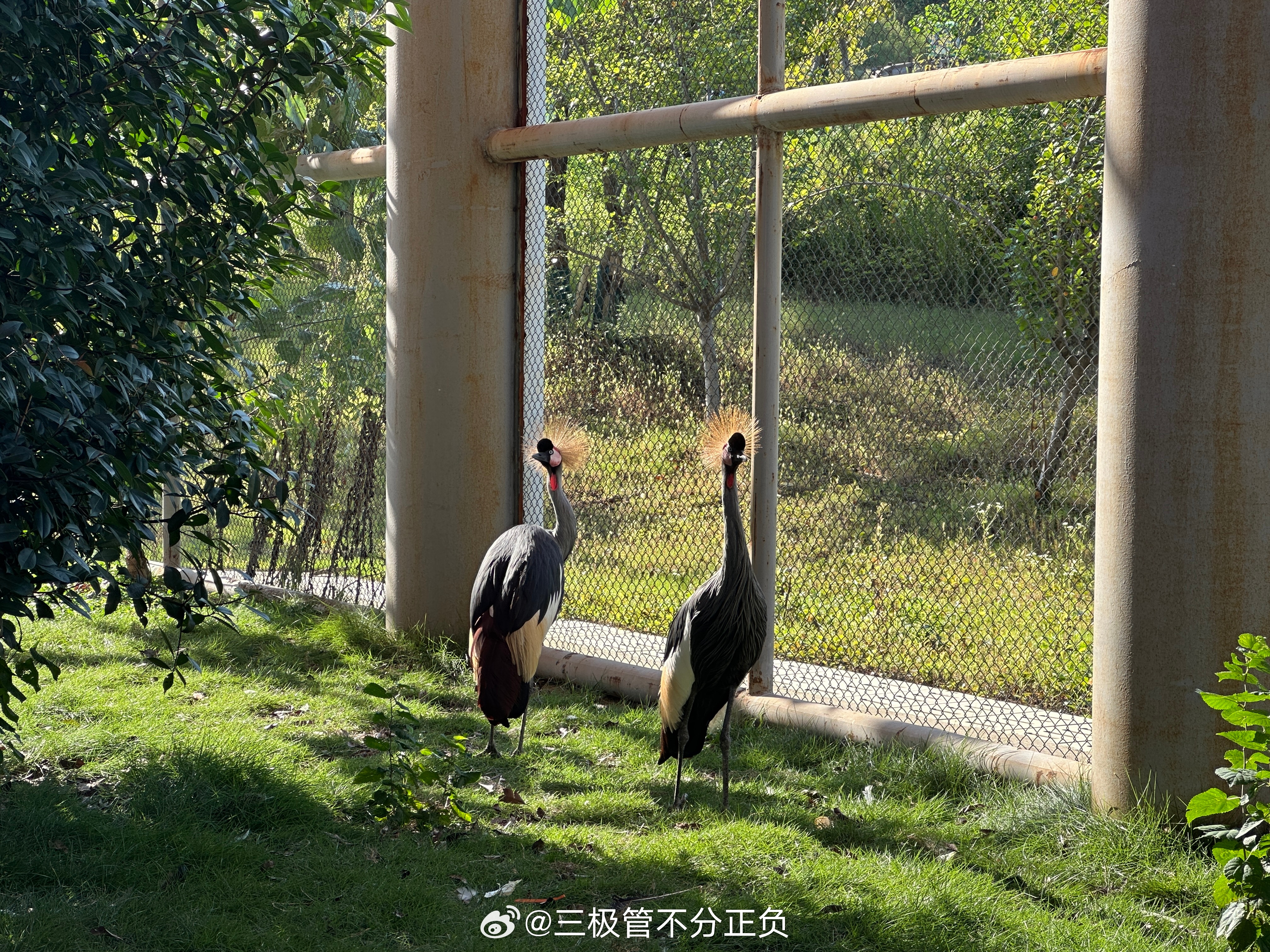 打卡徐州九顶山动物园，人不是太多，还比较有体验感 ​​​
